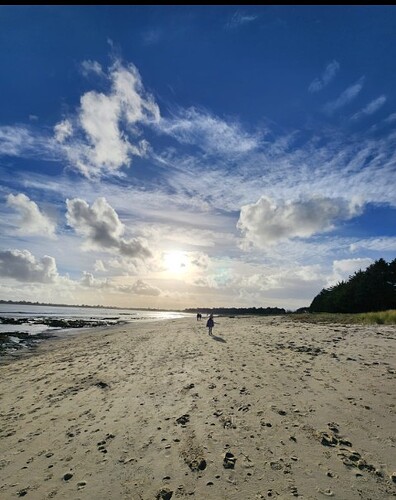 Screenshot_20251108-163924~2