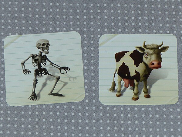 a8b69bbf7d9ddeb4cc0370adc4c7c94a9dc5.jpe