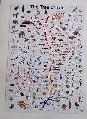 IMG_20260122_170642_2