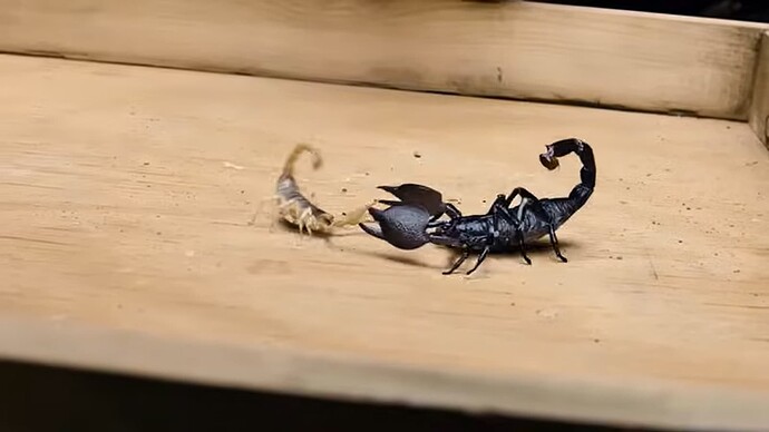 Capture d'écran 2024-08-22 171131