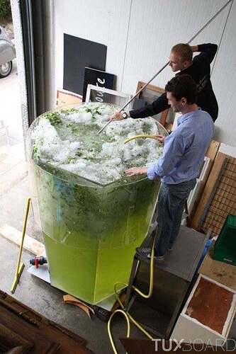 plus-grand-mojito-du-monde.jpg