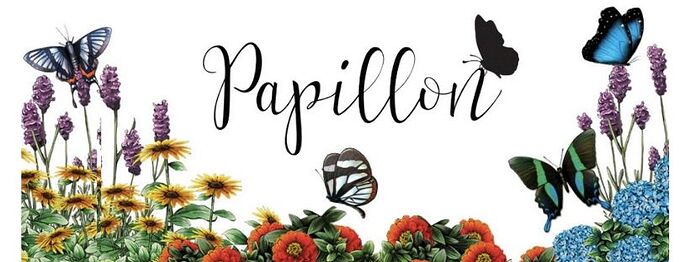 Papillon : le retour des beaux jours !