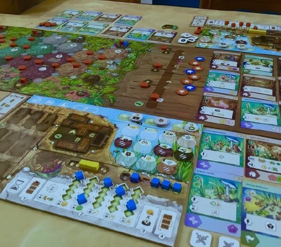 fourmis-jeu-presentation51