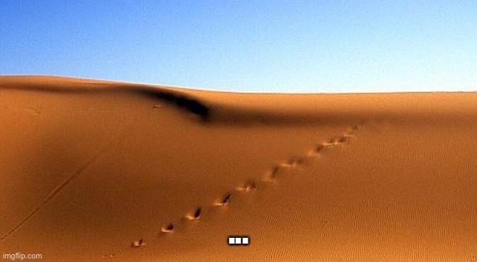 Tric Trac