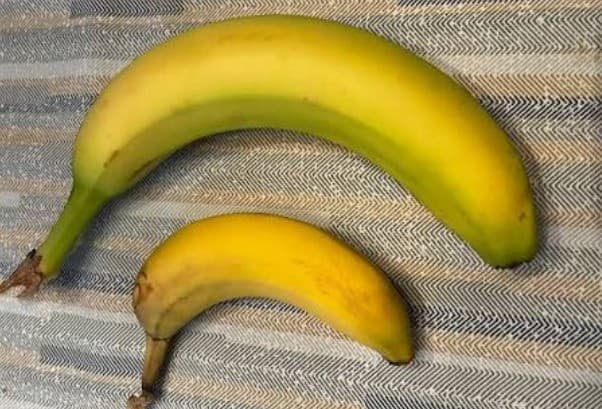bananes