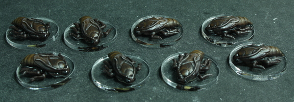 mice-and-mystics-roaches-cafards.jpg