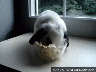 3o6EhOMVCms8ZZ1jDq.gif