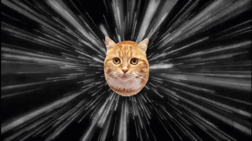 tumblr_n8kw8kpcSb1sg6cg8o1_500.gif