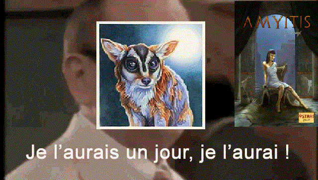 maaf-je-laurai-un-jour