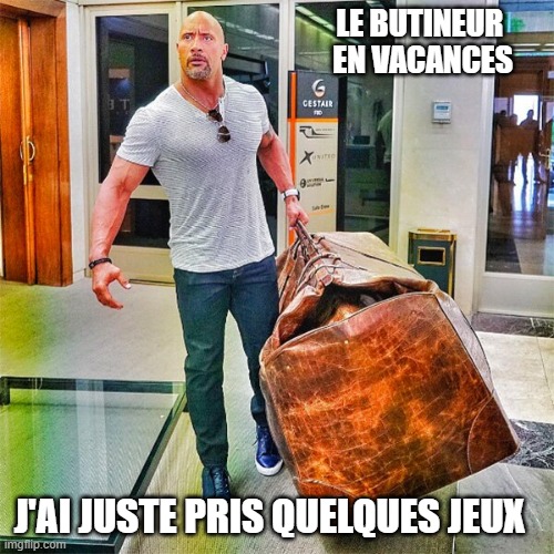 dans la valise