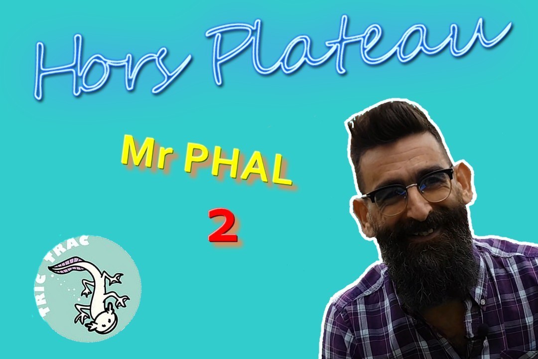 L'interview de Mr Phal :