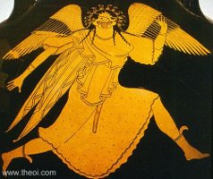 Meduse.jpg