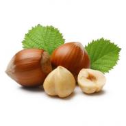 noisette