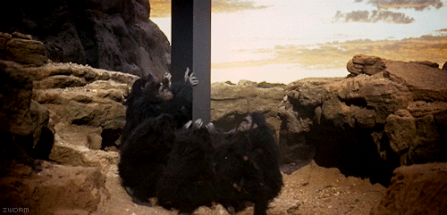 l4hLFU3YS0Qw4Yn5e.gif