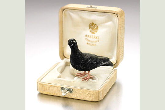 347509-un-pigeon-aux-yeux-de-diamants.jp