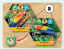 Santuary_Couple_Jeton_Conservation