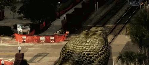 Default